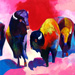 Oklahoma Buffalo Run